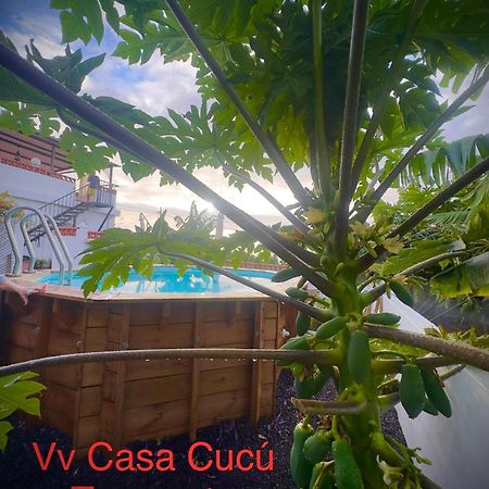Вилла Casa Cucu Тасакорте Экстерьер фото