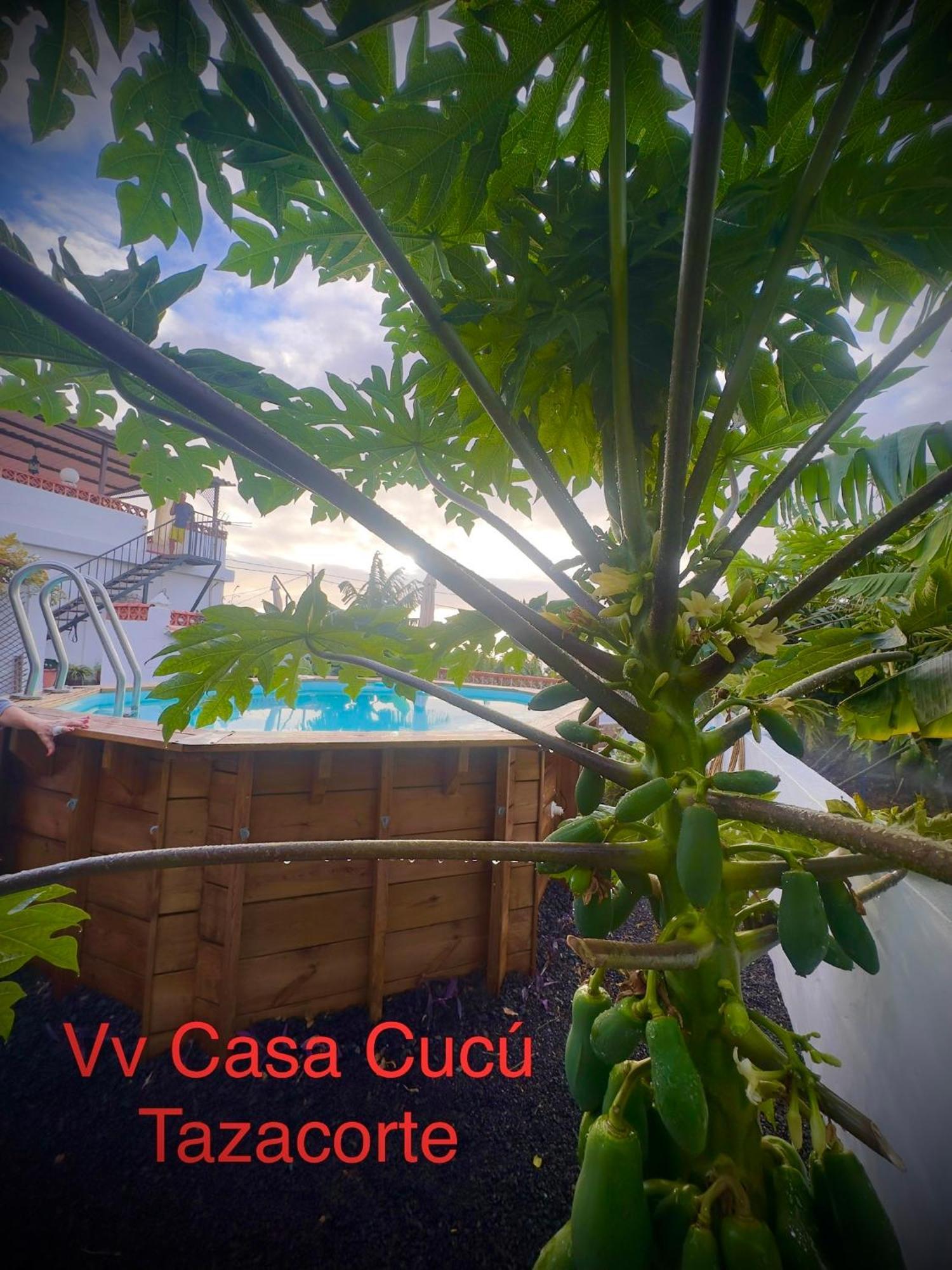 Вилла Casa Cucu Тасакорте Экстерьер фото